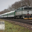 Brejlovec 754 042 byl zachycen 7.3.2009 s vlakem Ex 527 v Hradovicch.